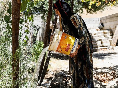 Warda al-Jassem rentre chez elle, cinq semaines après avoir fui les combats à Jazra, banlieue à l'ouest de Raqa, et arrose sa vigne, le 15 juillet 2017 - BULENT KILIC [AFP]
