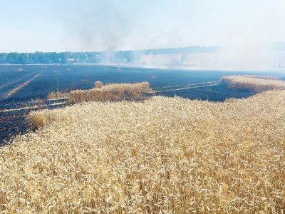 Le feu a détruit des champs de blé dans l'Orne. - SDIS DE L'ORNE