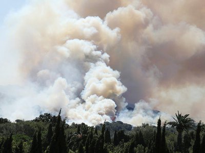 Un incendie à La-Croix-Valmer, près de Saint-Tropez, le 25 juillet 2017 - Valery HACHE [AFP]