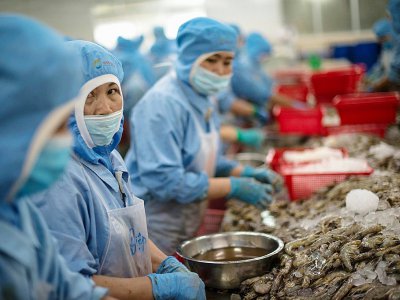 Des ouvrières décortiquent des crevettes dans la "Khanh Sung Seafood Company", dans le district de My Xuyen au sud du Vietnam, le 13 juillet 2017 - Roberto SCHMIDT [AFP]