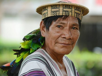 Tomas Bardales, indigène Ashaninka de la communauté Quempiri et producteur de cacao biologique, dans sa plantation près du village de Quempiri, dans la vallée des fleuves Apurimac, Ene et Mantaro (Vraem, centre) au Pérou, le 30 juin 2017 - CRIS BOURONCLE [AFP]
