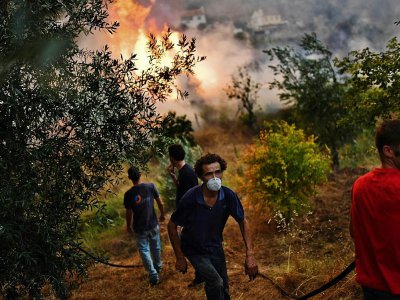 Incendie dans la région d'Abrantes au Portugal, le 10 août 2017 - PATRICIA DE MELO MOREIRA [AFP]