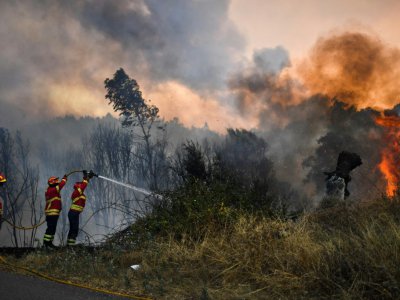 Les pompiers luttent contre un incendie près du village de Pucarica (Abrantes), le 10 août 2017 - PATRICIA DE MELO MOREIRA [AFP/Archives]