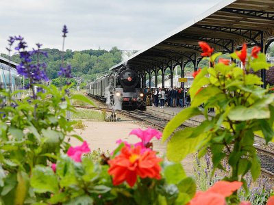 La locomotive à vapeur (la Pacific 231 K8) entre en gare de Dieppe. - Philippe CARON PacificVapeurClub