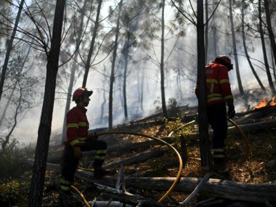 Des pompiers surveillent la progression d'un feu de forêt près du village de Bracal le 11 août 2017. - PATRICIA DE MELO MOREIRA [AFP/Archives]