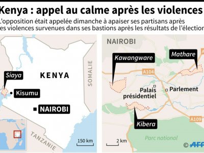 Kenya: appel au calme après les violences - Paz PIZARRO [AFP]
