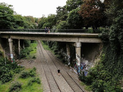 La Petite Ceinture, cette voie ferrée désaffectée qui entoure Paris, traverse le parc des Buttes-Chaumont. - JACQUES DEMARTHON [AFP]