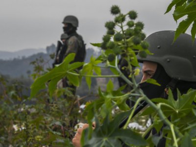 Opération contre les bandes armées à Niteroi, près de Rio de Janeiro, au Brésil, le 16 août 2017 - Apu Gomes [AFP]