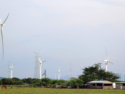 Si le Mexique est devenu un champion de l'énergie éolienne en Amérique latine, dans l'Etat d'Oaxaca (sud), les habitants critiquent les retombées économiques et menacent même de paralyser les moulins - PATRICIA CASTELLANOS [AFP]
