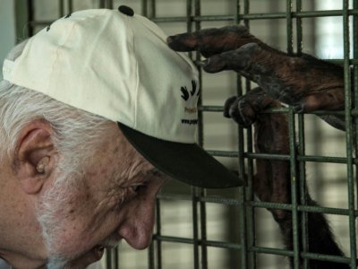 Pedro Ynterian, directeur du projet de refuge pour grands singes (GAP, Great Apes Project) à Sorocaba, au Brésil ,e 28 juillet 2017 - NELSON ALMEIDA [AFP]