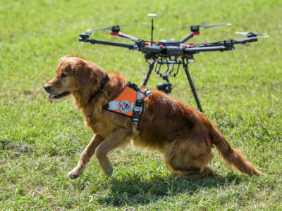 Présentation par l'organisation suisse Redog de l'utilisation de drones aux côtés de chiens pour les missions de sauvetage à Zurich, en Suisse, le 23 août 2017 - Fabrice COFFRINI [AFP]