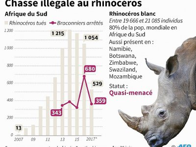 Chasse illégale au rhinocéros - A.Leung, gal/sim [AFP]