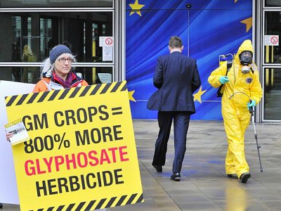 Manifestation contre le glyphosate et les OGM devant la Commission européenne à Bruxelles le 7 novembre 2012 - GEORGES GOBET [AFP/Archives]