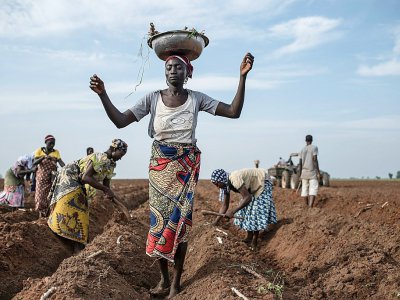 Des paysans au Nigeria le 12 juillet 2017 - STEFAN HEUNIS [AFP]