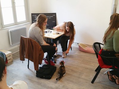 Entre deux gorgées de café, les clients peuvent s'amuser avec les chats. - Marie-Charlotte Nouvellon