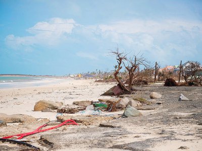 Les dégâts provoqués par le passage de l'ouragan Irma, le 7 septembre 2017 sur une plage de l'île de Saint-Martin - Lionel CHAMOISEAU [AFP]