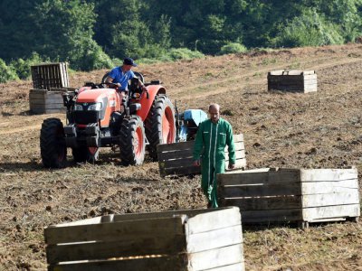 Des détenus s'adonnent aux travaux agricoles à la ferme de Moyembrie dans l'Aisne (nord de la France), le 29 août 2017 - FRANCOIS LO PRESTI [AFP]