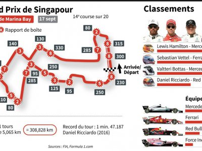 Grand Prix de Singapour - AFP [AFP/Archives]