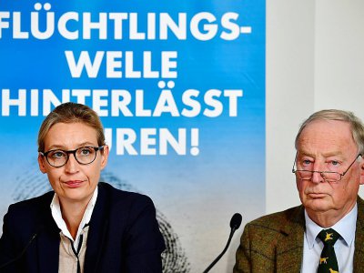 Les têtes de liste du parti anti-immigration AfD Alexander Gauland et Alice Weidel, à Berlin le 18 septembre 2017 - Tobias SCHWARZ [AFP]