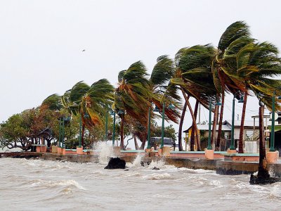 Fortes vagues et rafales de vent à l'approche de l'ouragan Maria, le 19 septembre 2017 à Fajardo, à Porto Rico - Ricardo ARDUENGO [AFP]