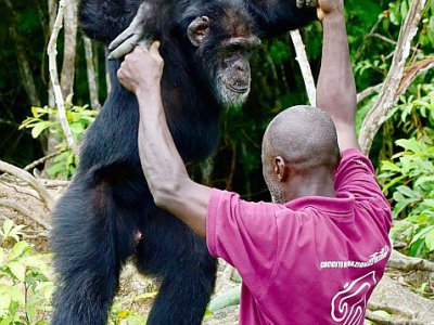 Le chimpanzé Ponso et son soigneur Germain Djénémaya Koidja, le 18 août 2017 sur l'île aux chimpanzés, à Grand-Lahou, en Côte d'Ivoire - ISSOUF SANOGO [AFP]