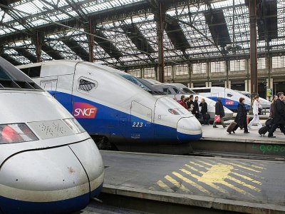 Des TGV Gare de Lyon à Paris, le 24 mars 2010 - LOIC VENANCE [AFP/Archives]