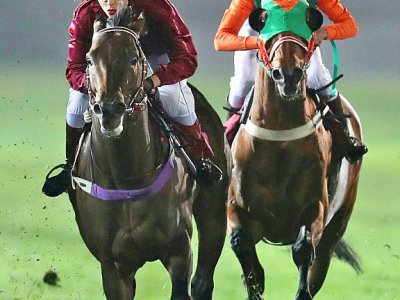 Maryam al-Subaiey (g) lors d'une course avec 13 jockeys hommes, le 24 février 2017 à Doha, au Qatar - KARIM JAAFAR [AFP]