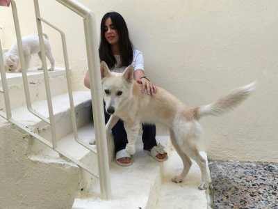 L'Irakienne Marina Jaber chez elle avec sa chienne Majnoona qu'elle a adoptée, le 22 septembre 2017 à Bagdad - Ahmad MOUSA [AFP]