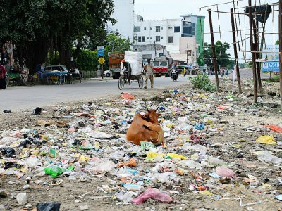 Une rue jonchée de détritus dans la ville de Gonda en Inde, le 20 août 2017 - SAJJAD HUSSAIN [AFP]