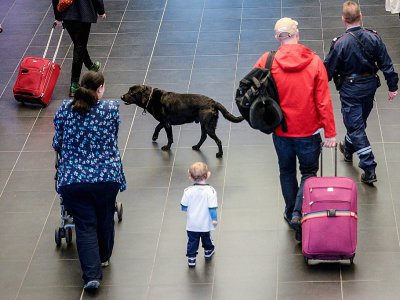 Un douanier patrouille avec Goran, chien renifleur de billets, à l'aéroport de Mulhouse, le 10 octobre 2017 - SEBASTIEN BOZON [AFP]