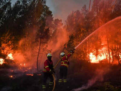 Des pompiers portugais tentent d'éteindre le feu à Maçao, le 18 août 2017 - PATRICIA DE MELO MOREIRA [AFP]