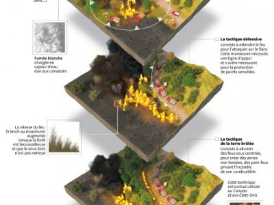 Différentes techniques utilisées par les pompiers pour combattre les feux de forêt - David LORY [AFP]