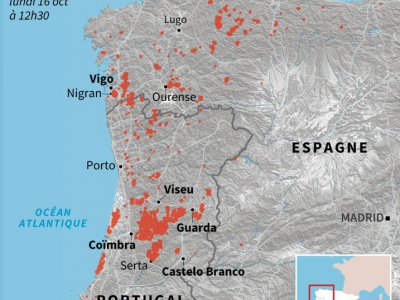 Incendies en Espagne et au Portugal - Paz PIZARRO [AFP]