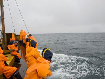 Des touristes à bord d'un bateau tentent d'apercevoir des baleines, le 28 juin 2011 au large de Husavik, en Islande - HALLDOR KOLBEINS [AFP]