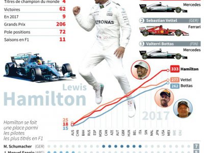 Lewis Hamilton champion du monde de F1 - Jonathan STOREY [AFP]
