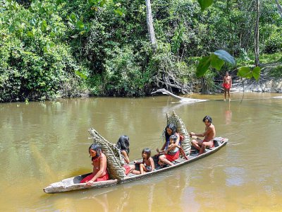Des indiens Waiapi traversent la rivière en canoé pour aller récolter du manioc qui sert à la fabrication du caxiri, une boisson fermentée artisanale, le 13 octobre 2017 dans la réserve Waiapi, à Manilha, au Brésil - Apu Gomes [AFP]