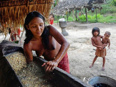 Une Indienne Waiapi mélange de l'eau et du manioc pour fabriquer du caxiri, une boisson fermentée artisanale, le 13 octobre 2017 dans la réserve Waiapi à Manilha, au Brésil - Apu Gomes [AFP]
