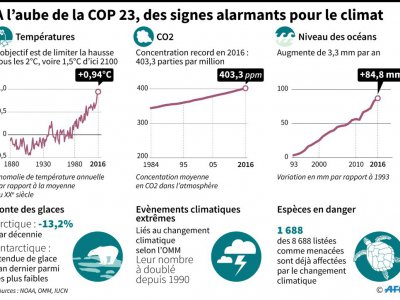 A l'aube de la COP 23, des signes alarmants pour le climat - Simon MALFATTO [AFP]