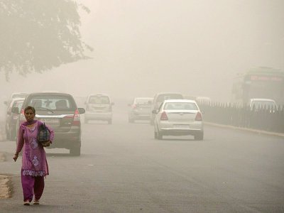 Brouillard de pollution, le 7 novembre 2017 à New Delhi, en Inde - DOMINIQUE FAGET [AFP]