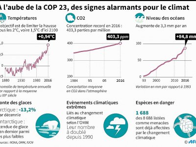 A l'aube de la COP 23, des signes alarmants pour le climat - Simon MALFATTO [AFP/Archives]