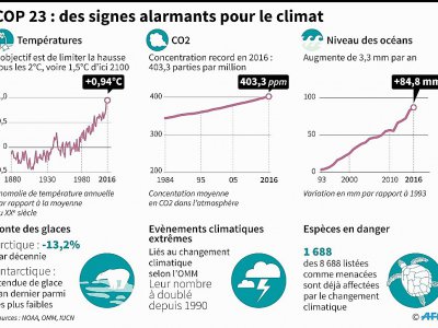 COP 23 : des signes alarmants pour le climat - Simon MALFATTO [AFP]