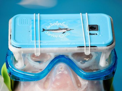 Des lunettes de réalité virtuelle permettant de visionner des films sur les dauphins testés dans une piscine à Apeldoorn, aux Pays-Bas, le 31 octobre 2017 - JOHN THYS [AFP]