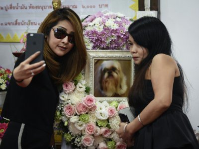 Pimrachaya Worakijmanotham (g) et son amie prennent un selfie avant l'incinération de leur chien bien-aimé Dollar, au temple bouddhiste, à Bangkok, le 14 septembre 2017 - LILLIAN SUWANRUMPHA [AFP]