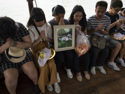 Des éplorés assistent à l'incinération de leurs animaux de compagnie le 5 novembre 2017, avant de déposer leurs cendres dans la rivière de Chaopraya à Bangkok - LILLIAN SUWANRUMPHA [AFP]