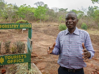 McDonald  Kolokombe, employé de la réserve forestière de Likhubulaz (sud du Malawi), le 28 octobre 2017 se plaint de la baisse du nombre de touristes du fait des rumeurs sur la présence de vampires dans la région - Amos Gumulira [AFP]