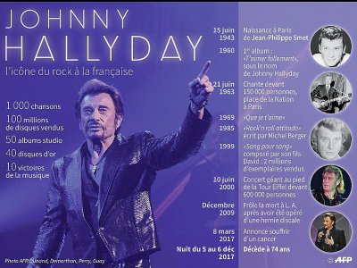 Johnny Hallyday, l'icône du rock à la française - Paul DEFOSSEUX [AFP]