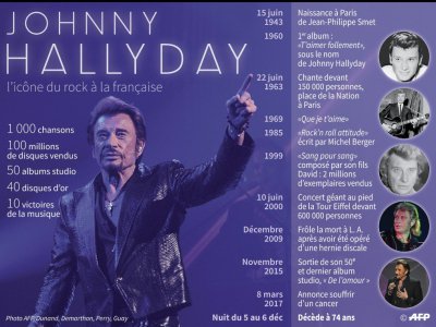 Johnny Hallyday, l'icône du rock à la française - Paul DEFOSSEUX [AFP]