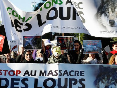Des militants de la protection du loup en France manifestent à Nice, le 17 janvier 2016 - VALERY HACHE [AFP/Archives]