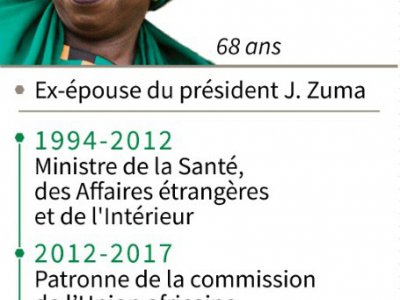 Dlamini Zuma - Jean Michel CORNU [AFP]