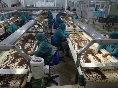 Des femmes afghanes travaillent dans une usine de fabrication de raisin à Kaboul, le 22 octobre 2017 - SHAH MARAI [AFP]